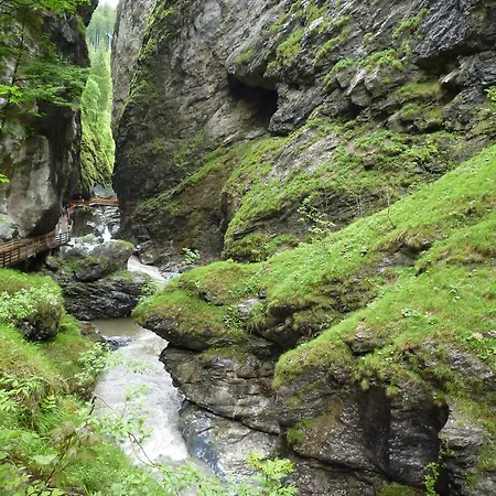 Holiday * Strobl